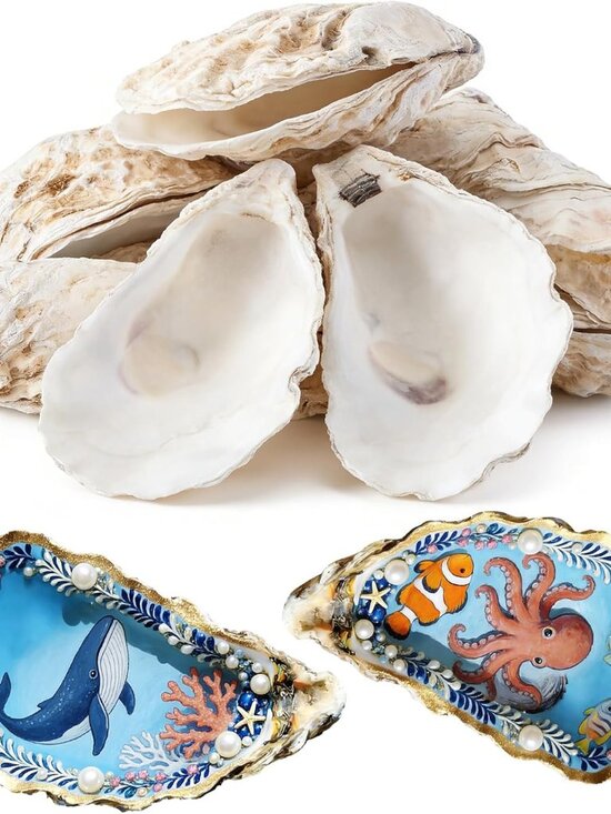 Other - 20Pcs 5"-6" Concave Oyster Shells for Crafts Natural Large Oyster Shells